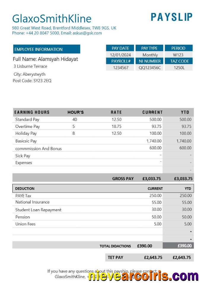 GlaxoSmithKline pharmaceutical company payslip